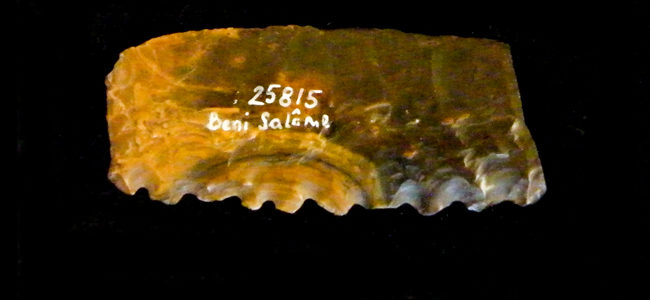 Denticulated bifacial sickle blade | UW25815, Studiensammlung des Instituts für Ur- und Frühgeschichte Universität Wien, 2017, Dr. Joanne Rowland, Dr. Geoffrey Tassie, The Neolithic in the Nile Delta, Edition Topoi, DOI: 10.17171/1-9-2179-3